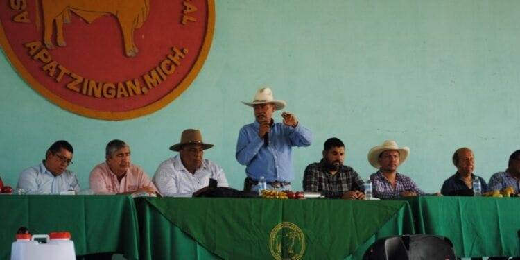 En Zirahuén, FGE asegura predio relacionado en tala y cultivo ilegal de aguacate