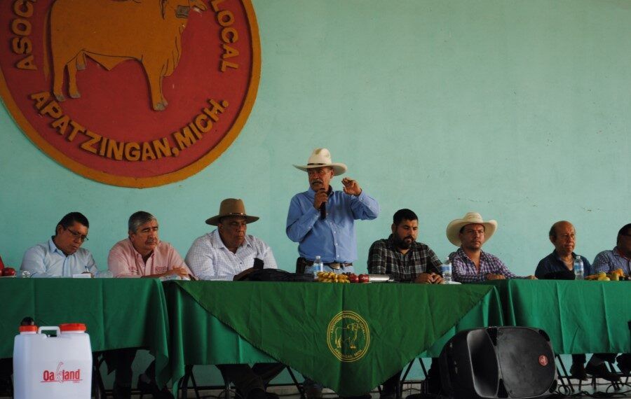 En Zirahuén, FGE asegura predio relacionado en tala y cultivo ilegal de aguacate