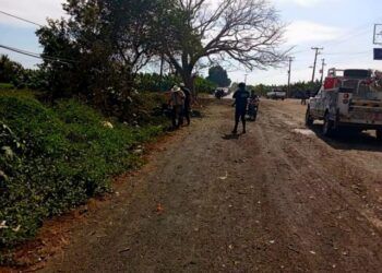 Detienen Al Diputado Federal Suplente Del Pvem, Javier Maldonado, Por Prender Fuego A Un Pastizal En Morelia