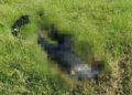 Encuentran Cadáver En Estado De Putrefacción Y Decapitado; Traía Ropa Táctica 30 Encuentran Cadáver En Estado De Putrefacción Y Decapitado; Traía Ropa Táctica
