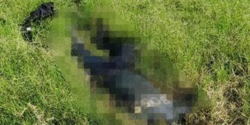 Un Masculino Sin Vida Y Decapitado Capire Apatzingan Difuminado - El Día De Michoacán