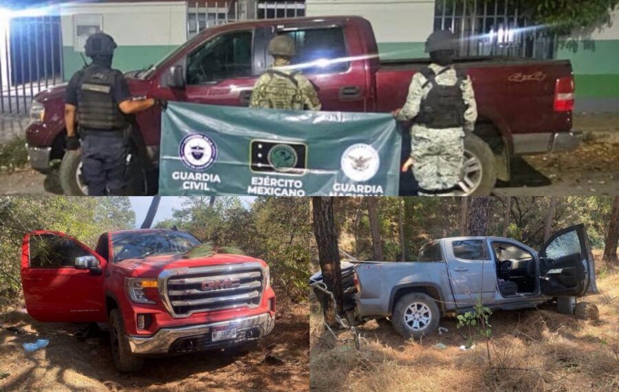 En Zirahuén, FGE asegura predio relacionado en tala y cultivo ilegal de aguacate