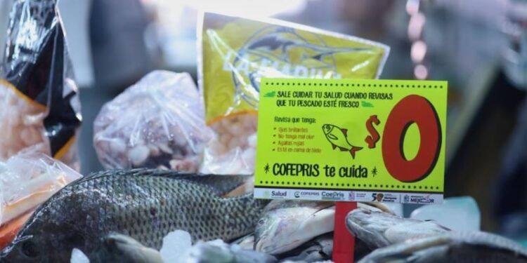 Arranca operativo sanitario por temporada de Cuaresma 2025: SSM 1 Por Cuaresma, Gobierno estatal ofertará pescados y mariscos a precios bajos