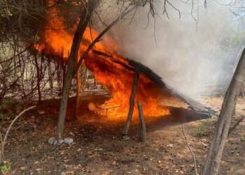 Arranca Megaoperativo En Uruapan; Decomisarán Máquinas Tragamonedas: Ssp