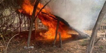 Localizan Y Destruyen Campamento Clandestino En Parácuaro 22 Arranca Megaoperativo En Uruapan; Decomisarán Máquinas Tragamonedas: Ssp