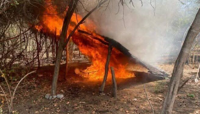 Localizan y destruyen campamento clandestino en Parácuaro 1 Arranca megaoperativo en Uruapan; decomisarán máquinas tragamonedas: SSP