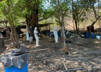 Destruyen Laboratorio De Drogas Sintéticas En San José Nuevo De Apatzingán