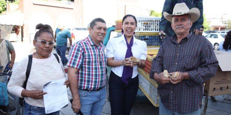 En Apatzingán, en apoyo a la economía familiar entregan pollas de traspatio 1 En temporada de calor, elige agua natural para una hidratación óptima: SSM