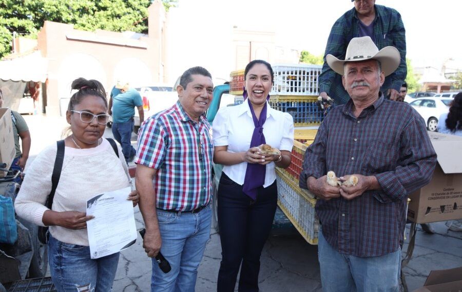 Fanny hizo entrega de pollas ponedoras de traspatio | El Día de Michoacán