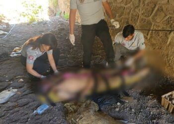 Alerta Ssm Sobre La Falsificación Del Medicamento Pantozol