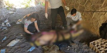 Alerta Ssm Sobre La Falsificación Del Medicamento Pantozol