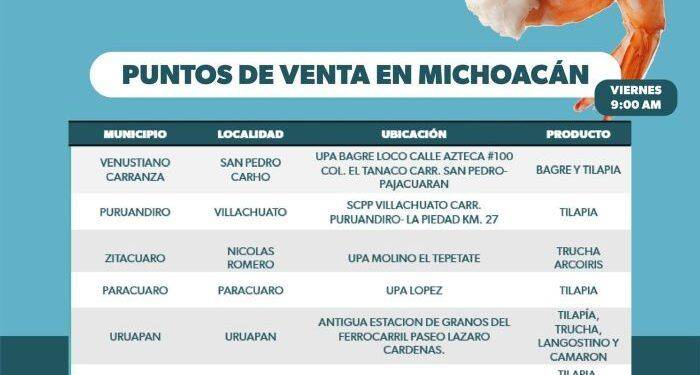 Optimiza el IEM diseños de las boletas electorales del proceso extraordinario del poder judicial