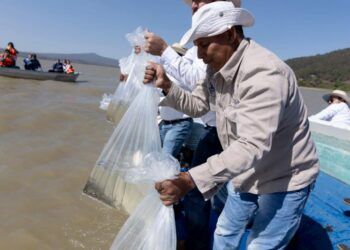 En Temporada De Calor, Elige Agua Natural Para Una Hidratación Óptima: Ssm
