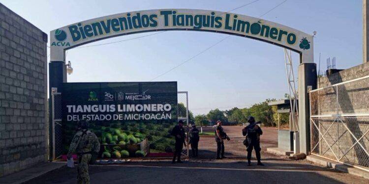 Operativo en Apatzingán y Buenavista garantiza seguridad del sector citrícola 1 Operativo en Apatzingán y Buenavista garantiza seguridad del sector citrícola