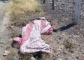 Abandonan Cuerpo De Hombre Con Signos De Violencia Envuelto En Cobija En Apatzingán 29 Abandonan Cuerpo De Hombre Con Signos De Violencia Envuelto En Cobija En Apatzingán