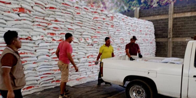 Más de 2 mil mdp invertidos en seguridad para Michoacán