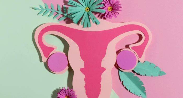 Detección temprana, clave en lucha contra el cáncer de cuello uterino: SSM 1 Gobierno de Morelia continuará apoyos sociales a viviendas