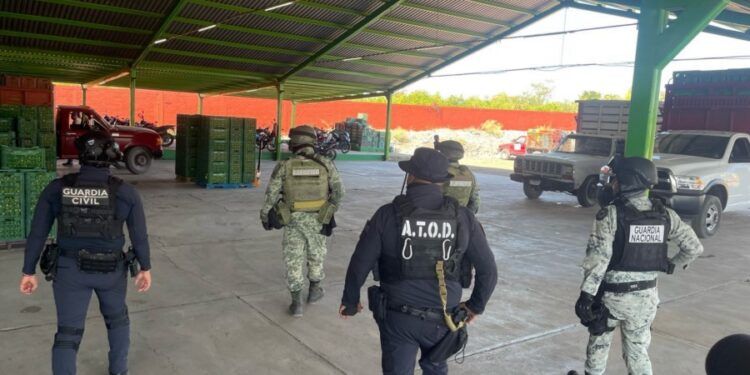 Continúa operativo contra extorsión a limoneros en Tierra Caliente: SSP 1 Más de 2 mil mdp invertidos en seguridad para Michoacán