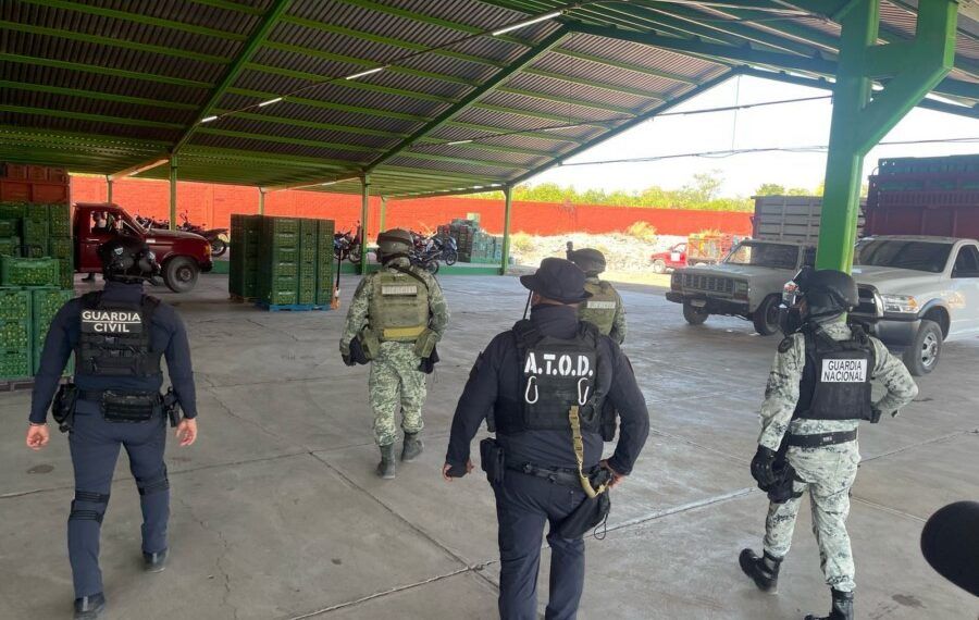 operativo contra extorsion a limoneros en Tierra Caliente | El Día de Michoacán
