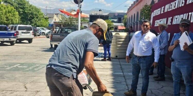 Sigue estas medidas para no ingresar a sitios web falsos