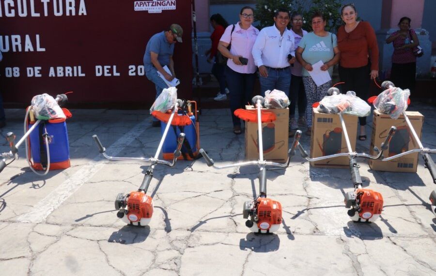 Sigue estas medidas para no ingresar a sitios web falsos