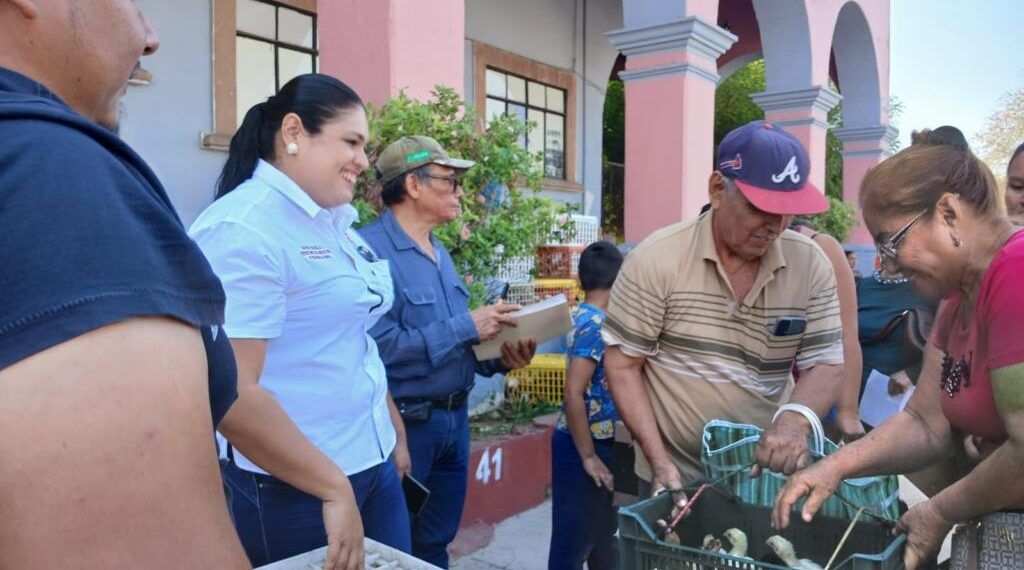 Apatzingan realiza la segunda entrega de pollas de traspatio | El Día de Michoacán