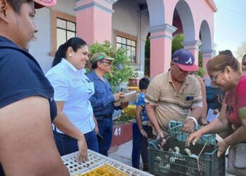 Ayuntamiento De Apatzingán Realiza La Segunda Entrega De Pollas De Traspatio