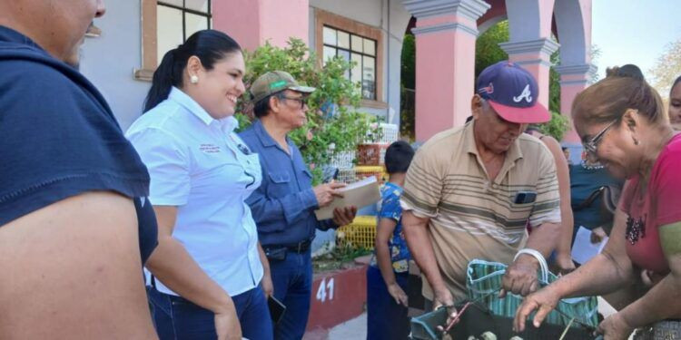 Ayuntamiento de Apatzingán realiza la segunda entrega de pollas de traspatio