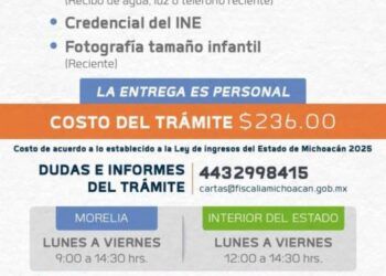Carta De Antecedentes No Penales - El Día De Michoacán