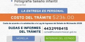 Carta De Antecedentes No Penales - El Día De Michoacán