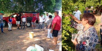 Conviértete En Conductor Con Licencia Federal O Internacional En Cetransporta: Icatmi