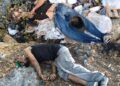 Ejecutan A Dos A Balazos En La Colonia Zapata De Apatzingán 29 Ejecutan A Dos A Balazos En La Colonia Zapata De Apatzingán