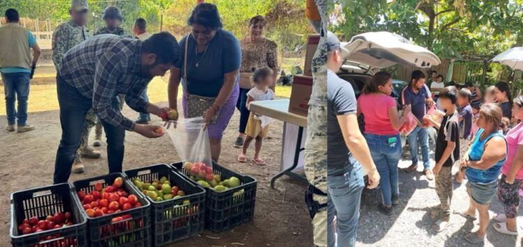 Entrega Síndico Municipal Dotaciones De Jitomate A Familias Vulnerables De Apatzingán 22 Entrega Síndico Municipal Dotaciones De Jitomate A Familias Vulnerables De Apatzingán