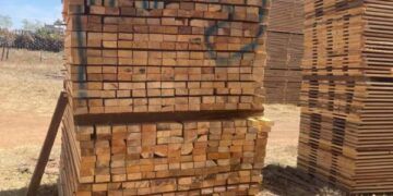 Fge Orden De Cateo En Predio Relacionado En Tala - El Día De Michoacán