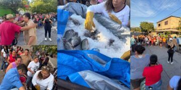 Morelia, En Cateo Aseguran 3 Unidades Con Reporte De Robo Y Alteraciones En Sus Medios De Identificación