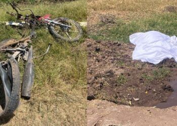 Cinco Detenidos En Posesión De Armas De Fuego En Morelos: Ssp