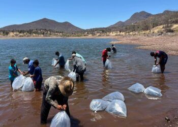 Respalda Compesca Al Sector Acuícola En Tierra Caliente