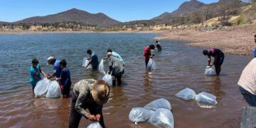 Respalda Compesca Al Sector Acuicola En Tierra Caliente - El Día De Michoacán