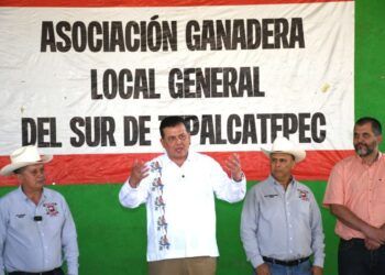 Conviértete En Conductor Con Licencia Federal O Internacional En Cetransporta: Icatmi