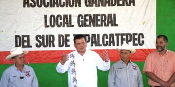 Conviértete En Conductor Con Licencia Federal O Internacional En Cetransporta: Icatmi