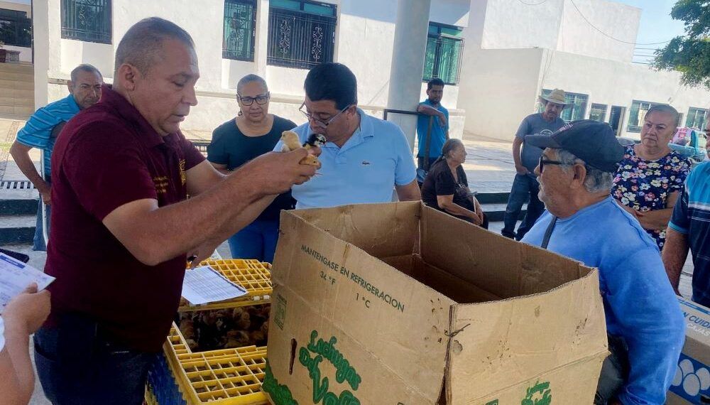 entrega de pollitas en Buenavista | El Día de Michoacán