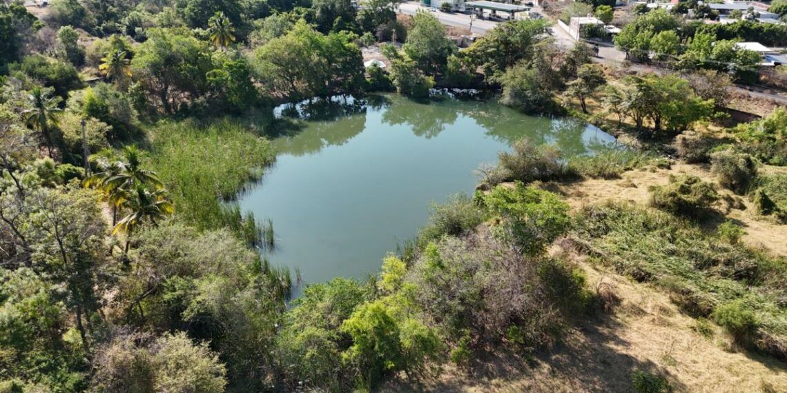Ambientalistas y sociedad civil se suman a la integración del plan para la transformación del Lago de Chandio