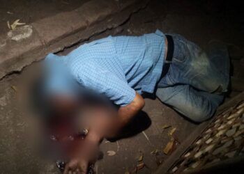 Conviértete En Conductor Con Licencia Federal O Internacional En Cetransporta: Icatmi