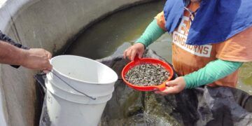 Dif Morelia Entrega Más De 130 Apoyos Funcionales Y Auditivos En Beneficio De La Inclusión