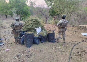 Ssp Detiene Homicida En Zamora