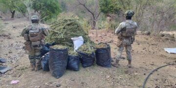 Ssp Detiene Homicida En Zamora