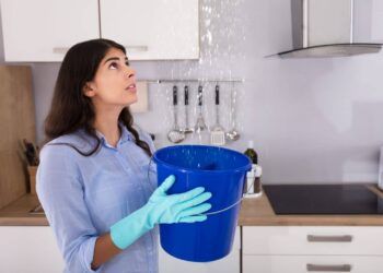 Goteras En Casa - El Día De Michoacán