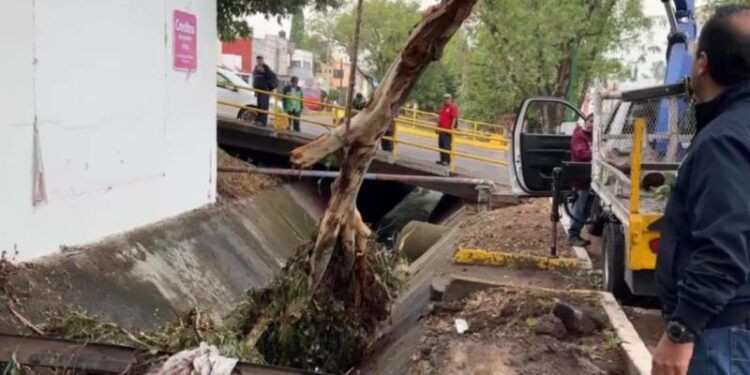 Detenidos Dos Integrantes De Célula Delictiva, En Operativo En La Frontera Con Jalisco