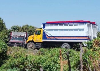 Varios Minutos De Tensión Vivieron Habitantes De Las Comunidades De Pinzándaro Y Zimanca