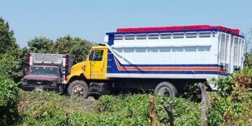 Varios Minutos De Tensión Vivieron Habitantes De Las Comunidades De Pinzándaro Y Zimanca 23 Varios Minutos De Tensión Vivieron Habitantes De Las Comunidades De Pinzándaro Y Zimanca